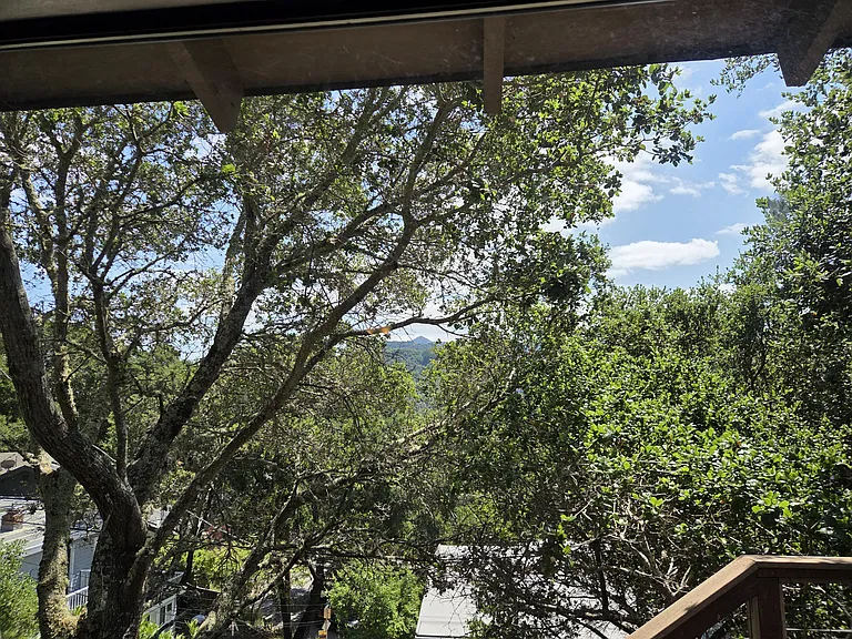 View from living room (Mt. Tam east peak)