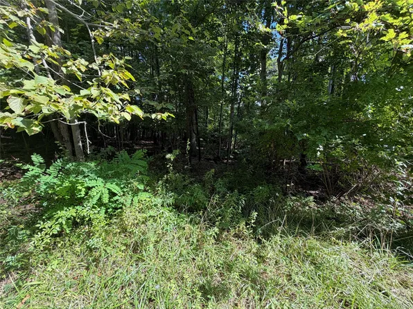 Lot 20.1 Mt Prosper Road, Wurtsboro, NY 12790