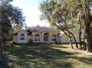 162 E Reehill St, Lecanto, FL 34461