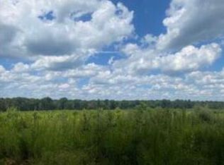 11-11A Bowie Rd, Troy, SC 29848