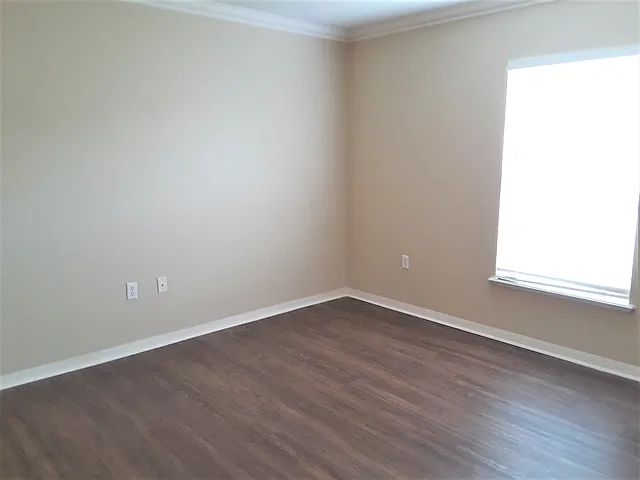 30126 Rattana Ct — Photo 14