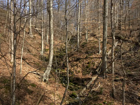 126 Rolling Stone Acres Ln, Leitchfield, KY 42754