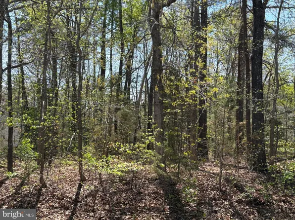 411 Pocahontas Dr, Ruther Glen, VA 22546