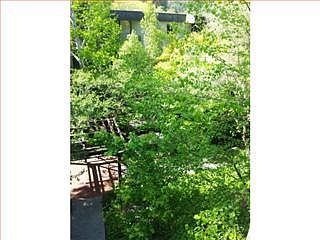 2nd image of 1301 Shelter Creek Ln