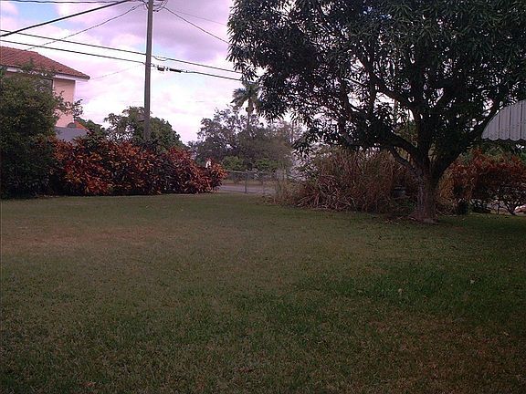 back yard