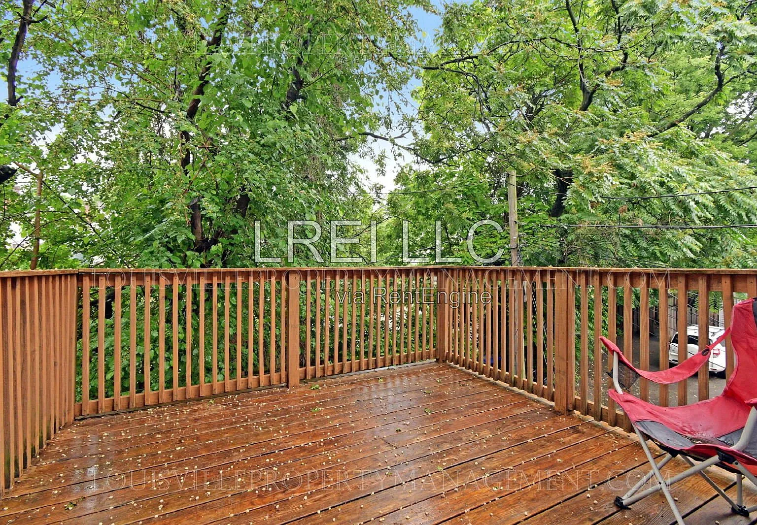 1 bed, 1.0 bath, 800 sqft, $1,250 — Photo 3