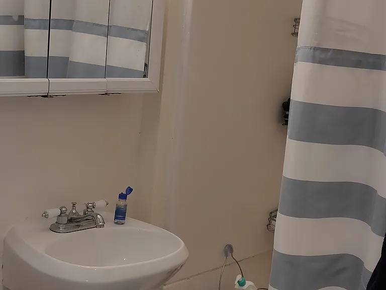 77 Gibbs St #3 — Photo 21
