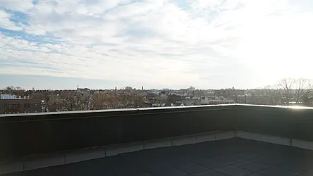 Rented by Bold New York