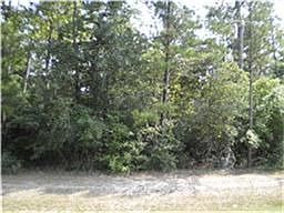 5th image of 22415 Meadowsweet Dr