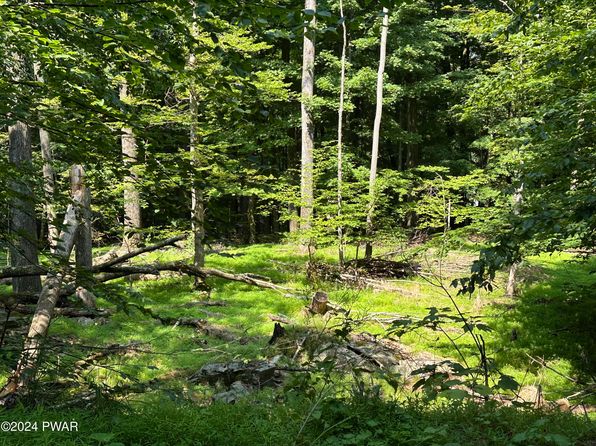 114 Cold Spring Ln, Greentown, PA 18426