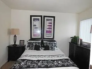 Rancho Terrace — Photo 13