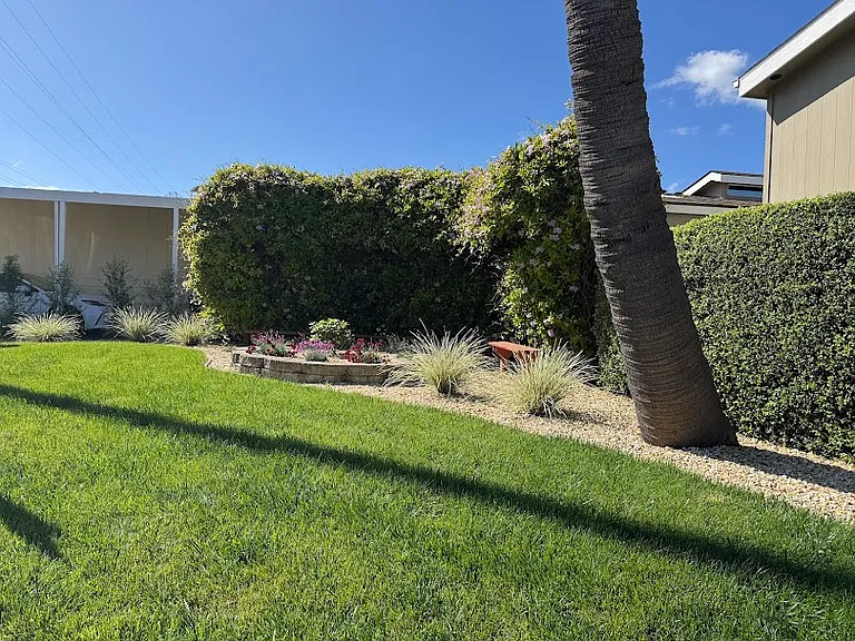 Front Lawn