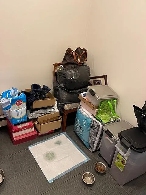 1 bed, 800 sqft, $1,800 — Photo 4