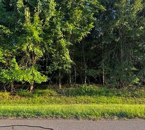 3rd image of 1103 W Point Dr