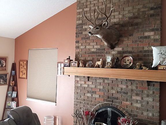 Family or Great Room firepla