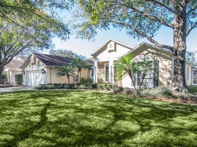 15018 Arbor Hollow Dr, Odessa, FL, 33556