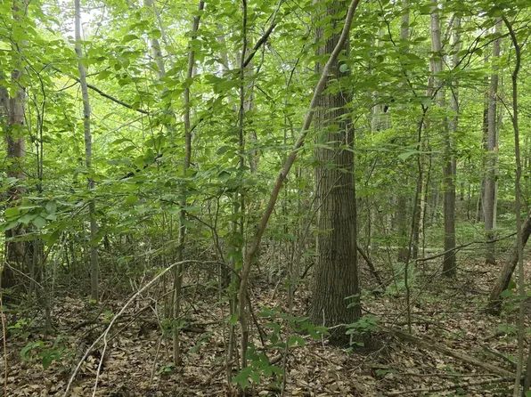 LOT 64th St #D, Holland, MI 49423