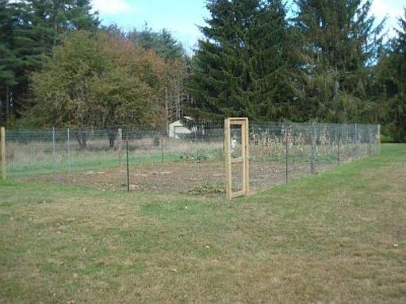 Fenced Garden-Apple Trees