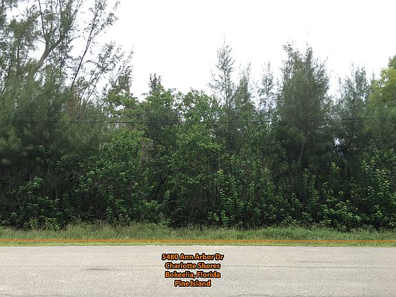 2nd image of 5480 Ann Arbor Dr