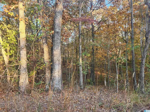 911 Oak Rd, Sylacauga, AL 35151