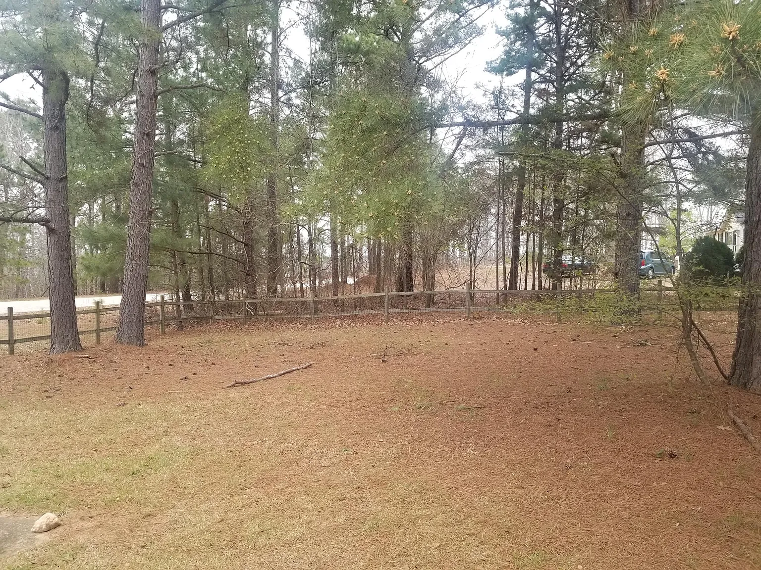3 bed, 1620 sqft, $1,600 — Photo 2