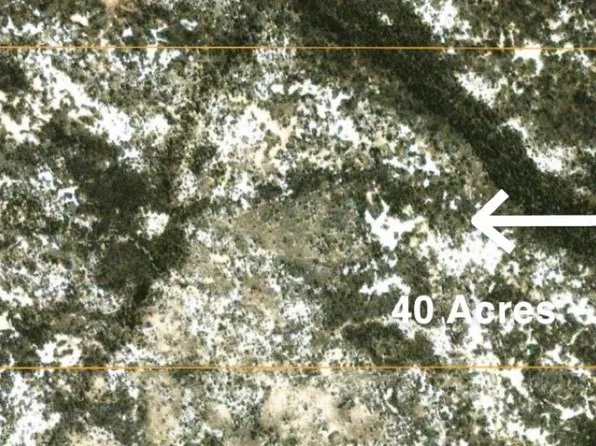 T29n R48e Sec 21, Crescent Valley, NV 89821