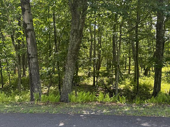 2nd image of 2119 Mallard Ct