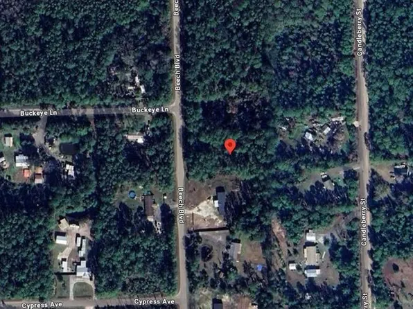 1759 Beech Blvd Lot 8, Bunnell, FL 32110
