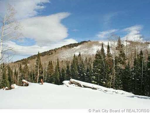 1st image of 187 White Pine Canyon Rd #187
