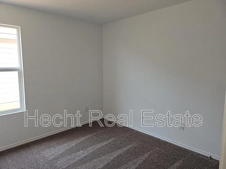 9262 Honey Mesquite — Photo 15