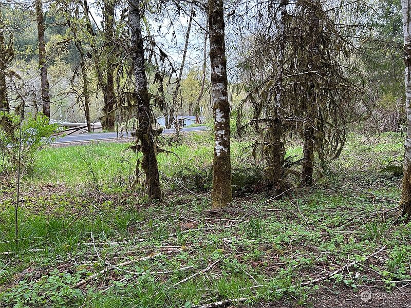 4th image of 0 Lot 4 Abernathy Creek Road