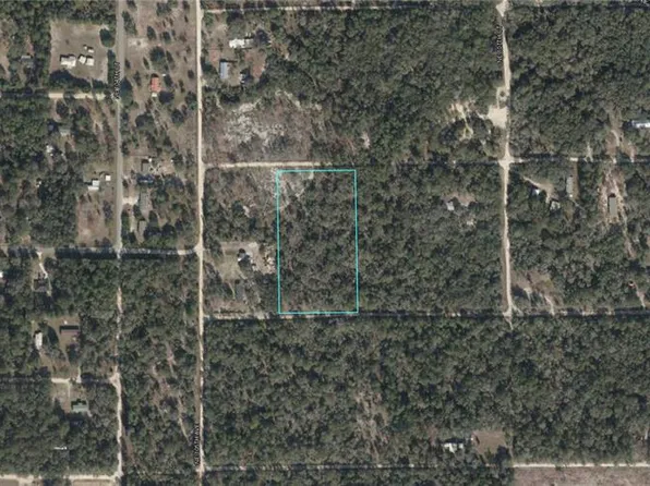 10591 NE 71st St, Bronson, FL 32621