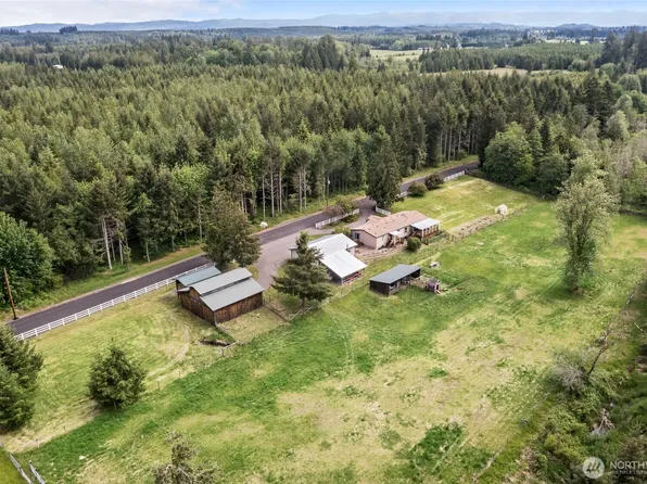 119 Oyler Way, Ethel, WA 98542