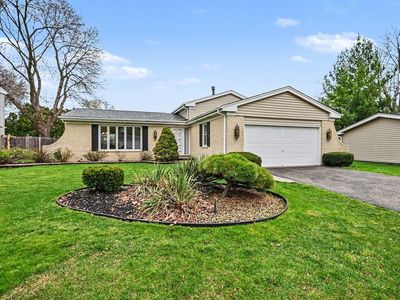 3941 Roslyn Rd, Downers Grove, IL, 60515