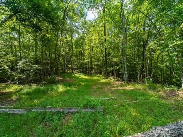 1 Blue Arrow Ln #2, Mineral Bluff, GA 30559