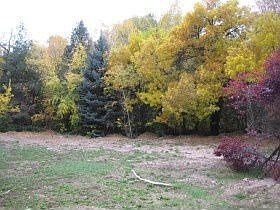 3rd image of 5418 Haven Ln