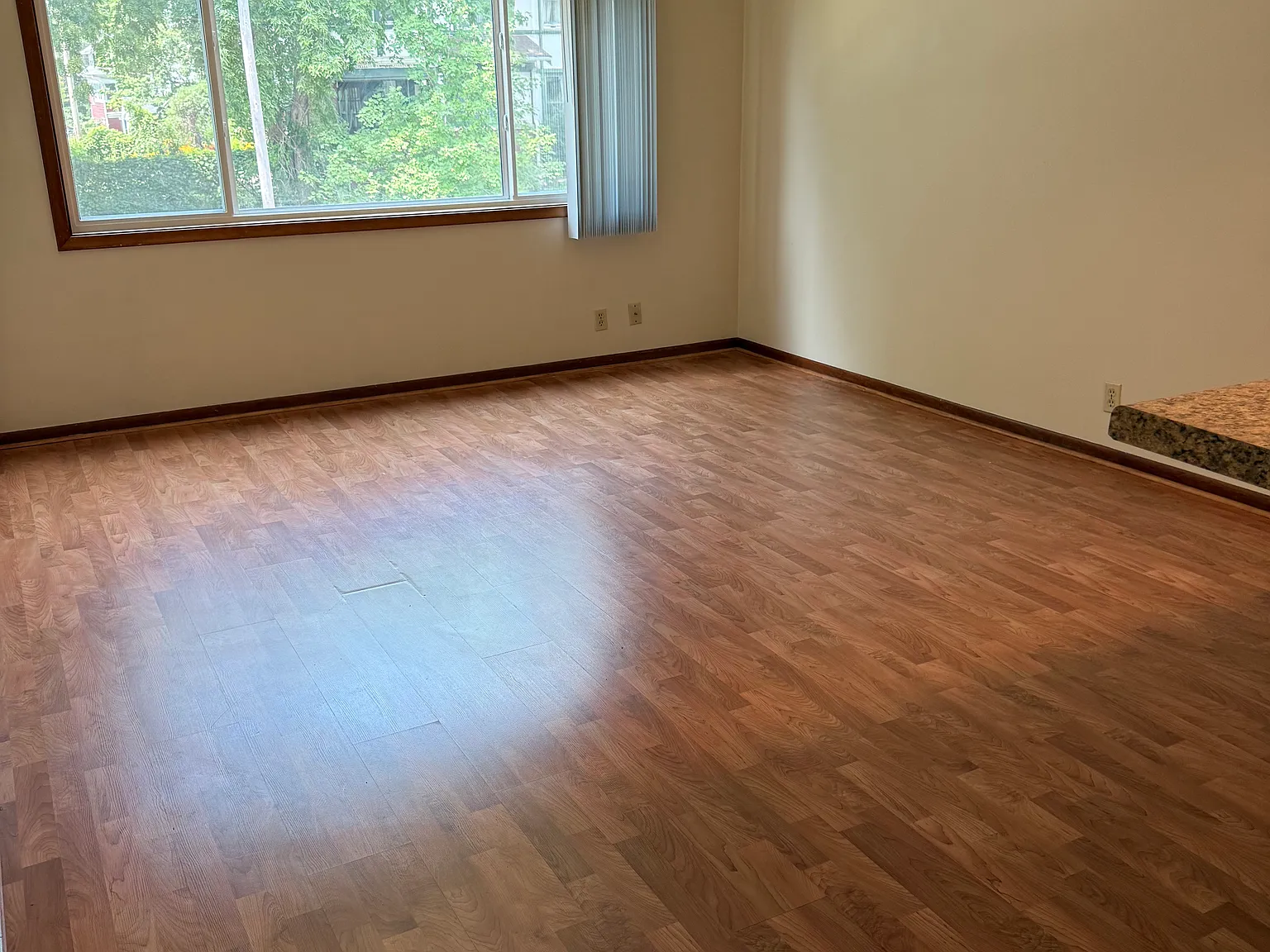 1 bed, $850 — Photo 4