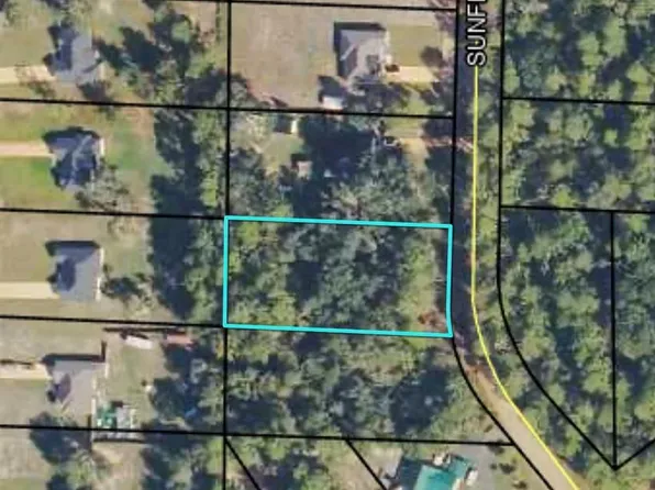 19 Sunflower Trl, Quitman, GA 31643