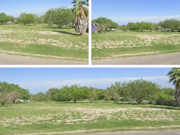 Washington Palm Dr, Penitas, TX 78576
