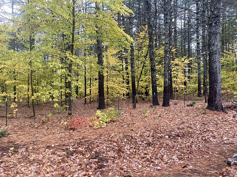 77 Lovewell Pond Rd — Photo 15