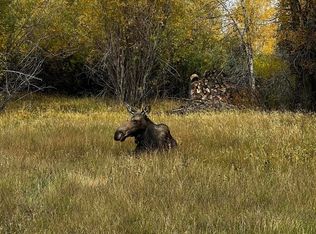 McCoy Dr, Pinedale, WY 82941