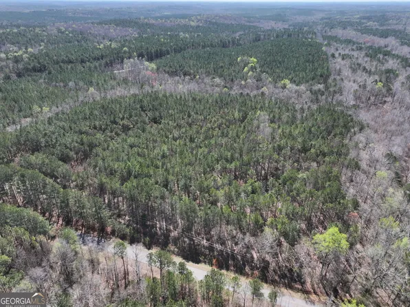 24/ACRE S On Ga Highway 2 Tract 34, Franklin, GA 30217