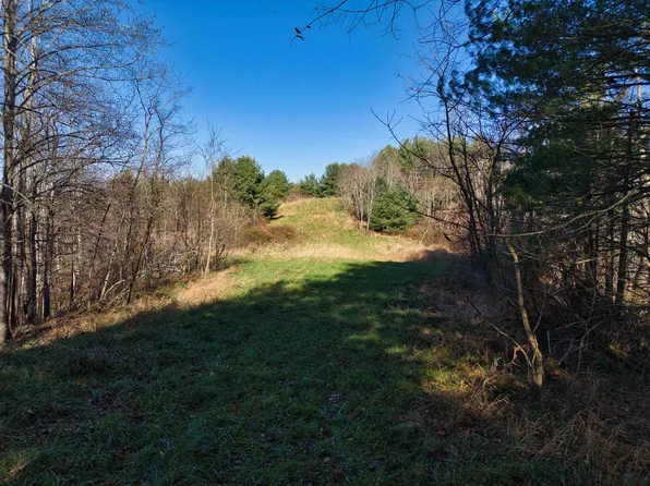 Thunderstruck Rd NE, Floyd, VA 24091