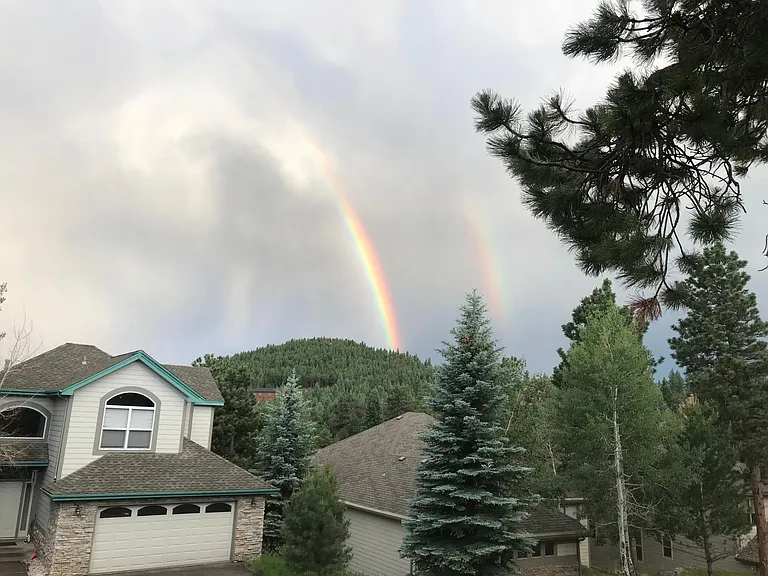View from the front window