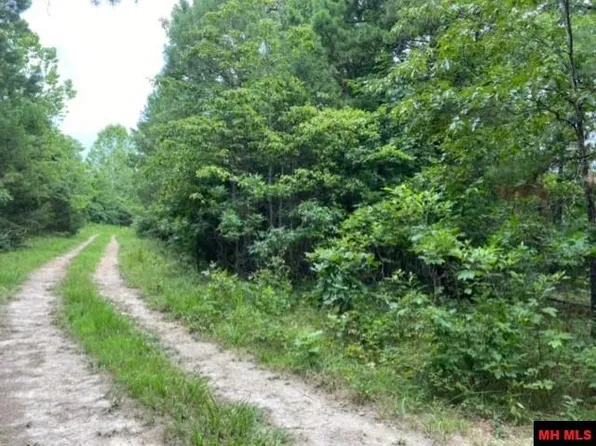 63 Pawnee Ln, Yellville, AR 72687