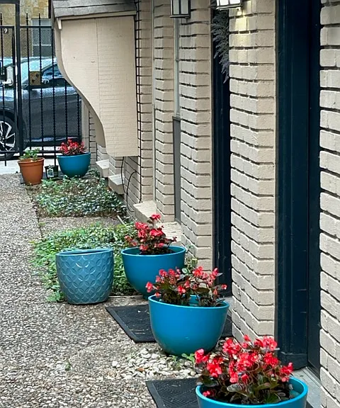 3811 Holland Ave #1 — Photo 3