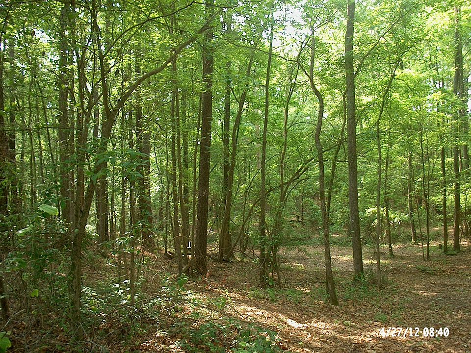 2nd image of Everette Dowdy Road