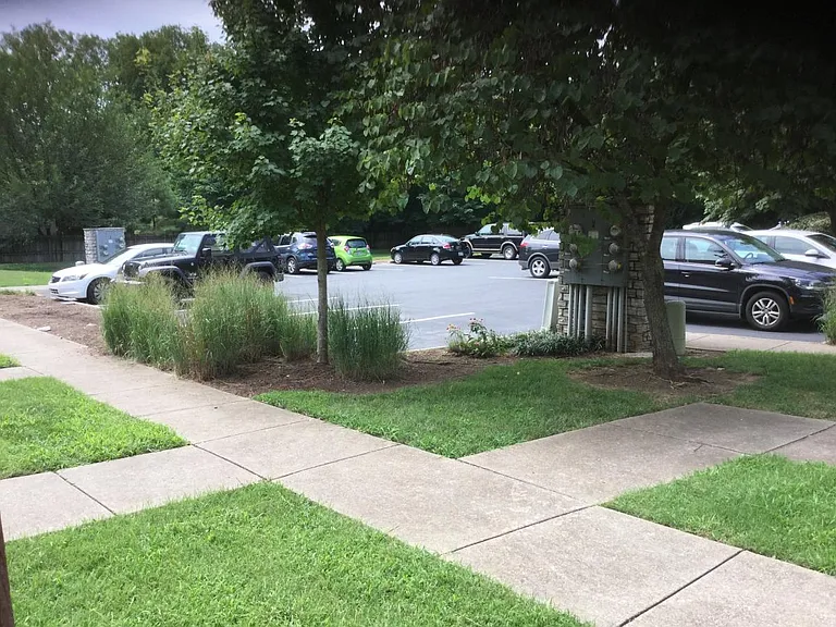 Rear Parking