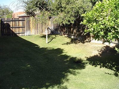 5th image of 1010 E Wahalla Ln