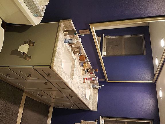 Master Bathroom Sinks